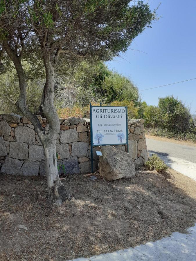 Agriturismo Gli Olivastri Appartamento Raggio Di Sole , Con Piscina E Vista Mare ,Climatizzatore,Wifi Aglientu Luaran gambar